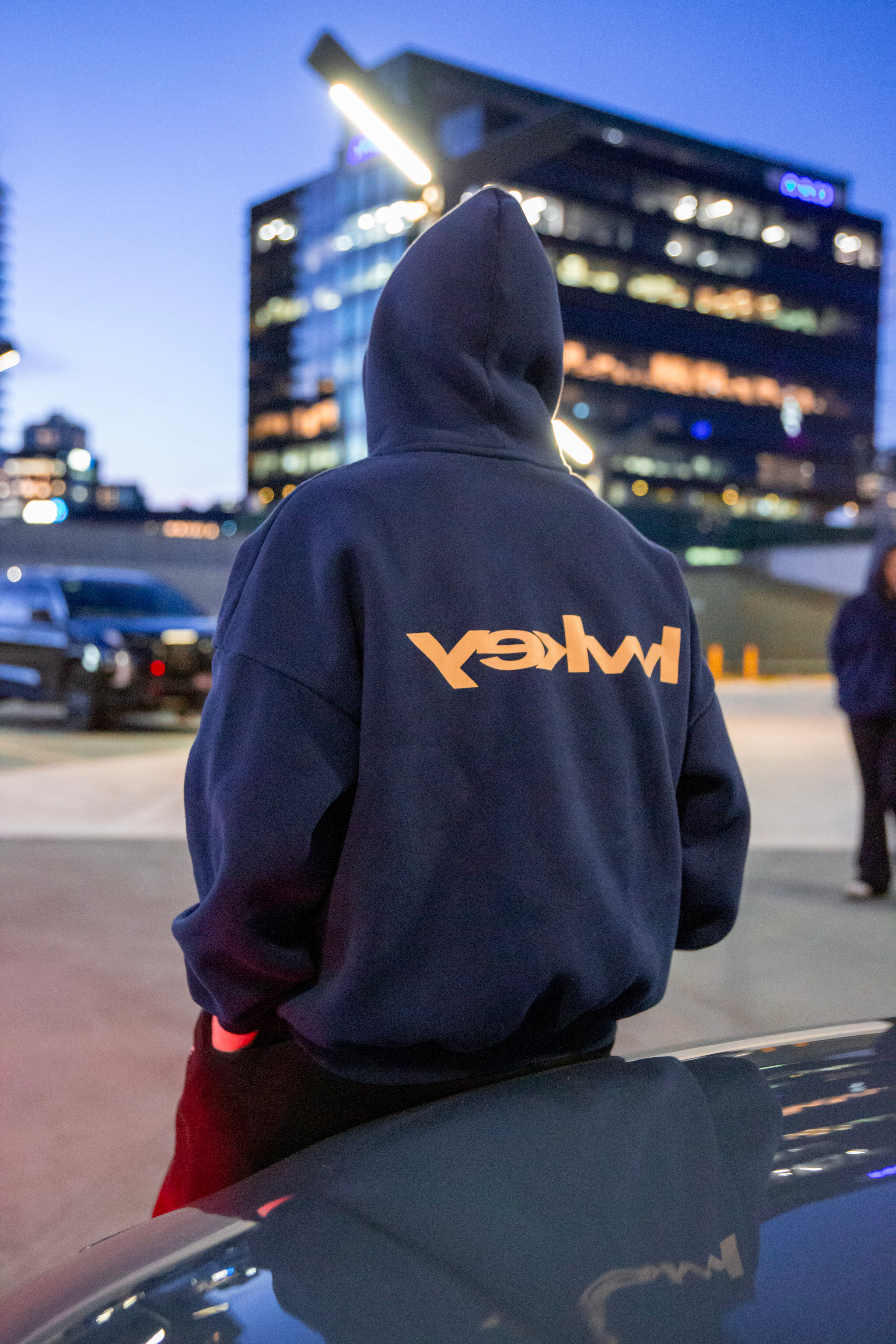 Describes the appearance of the image